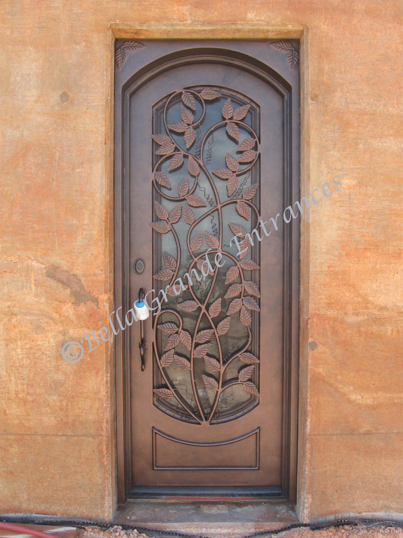 A close-up of a leafy design decorating an iron door at a house in Las Vegas.
